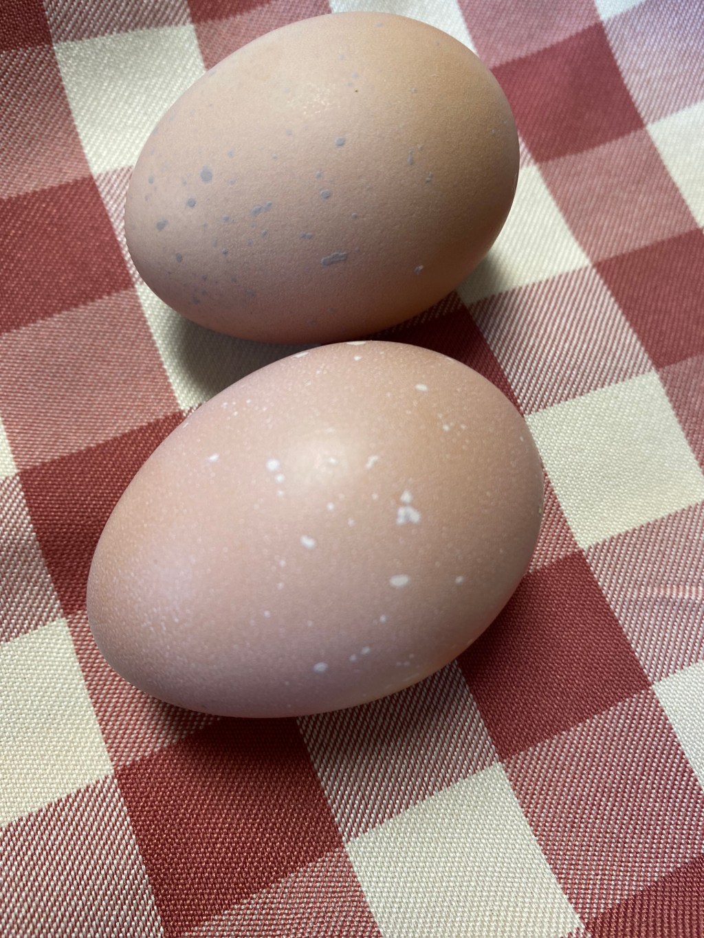 Two Ways to Train Chickens